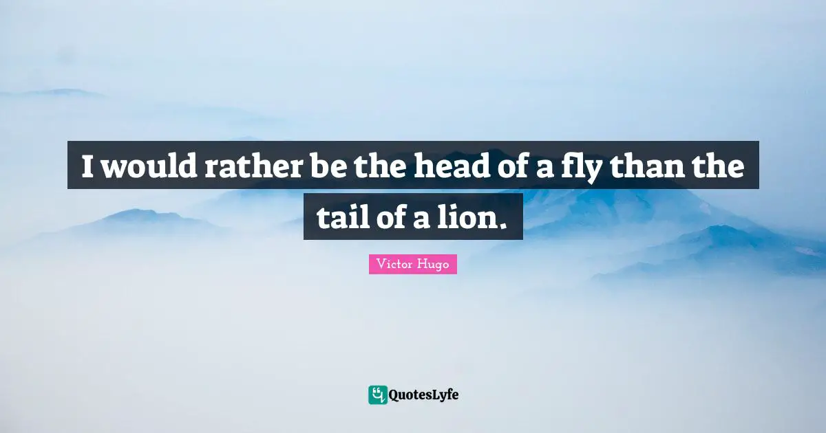 I would rather be the head of a fly than the tail of a lion.
