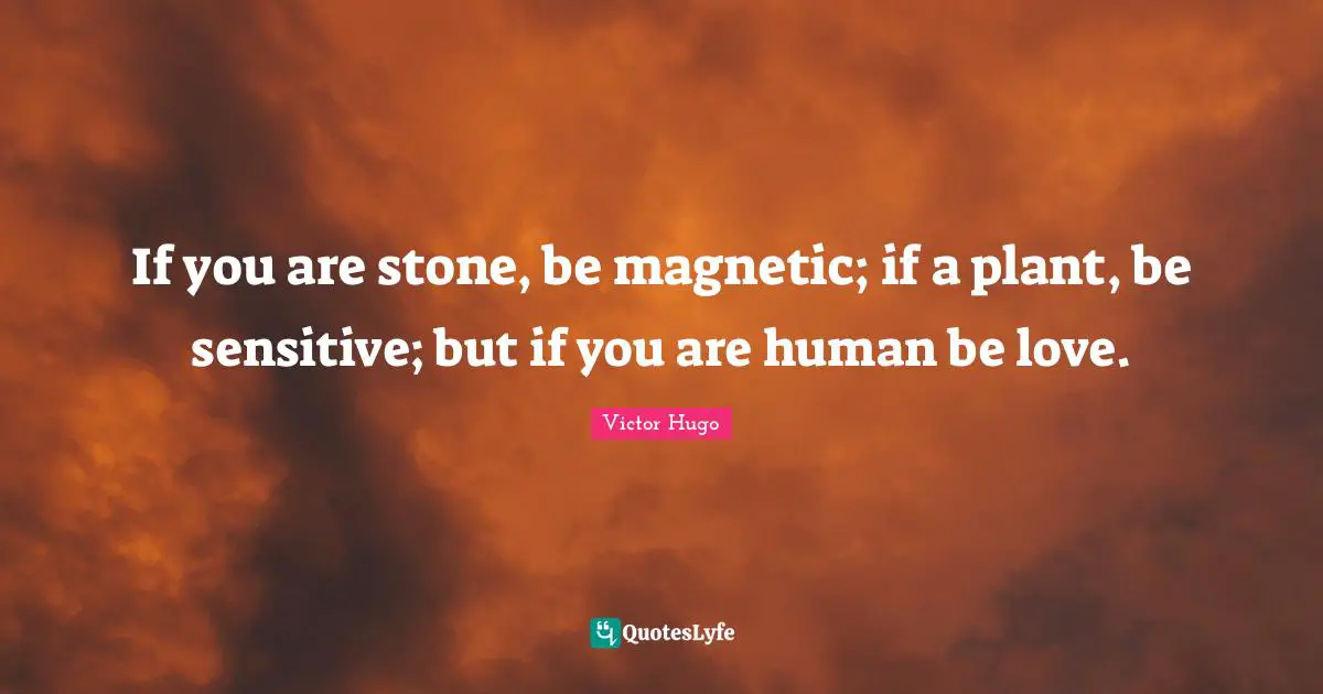 If you are stone, be magnetic; if a plant, be sensitive; but if you are human be love.