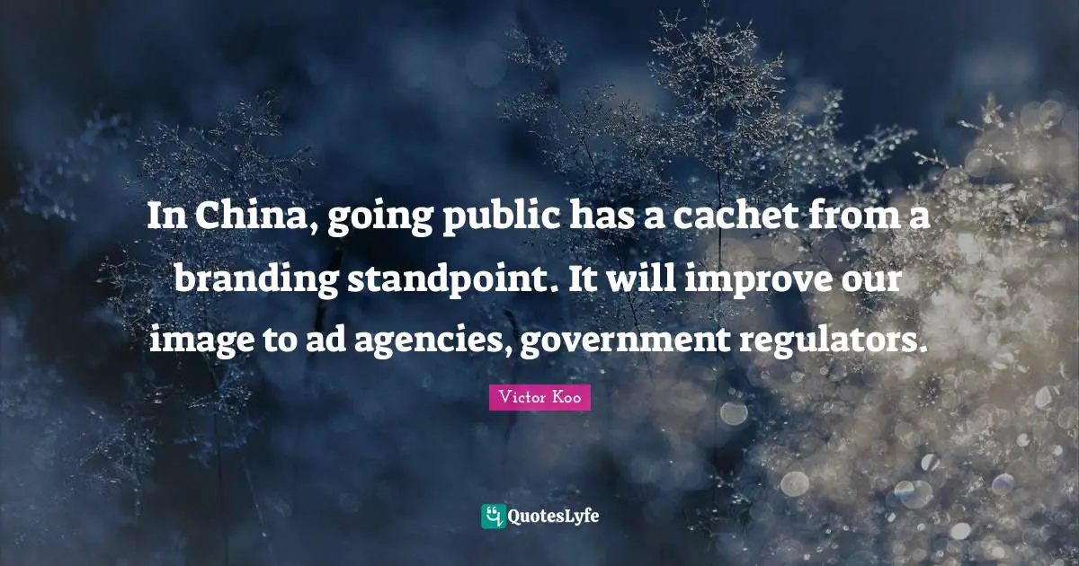 In China, going public has a cachet from a branding standpoint. It will improve our image to ad agencies, government regulators.