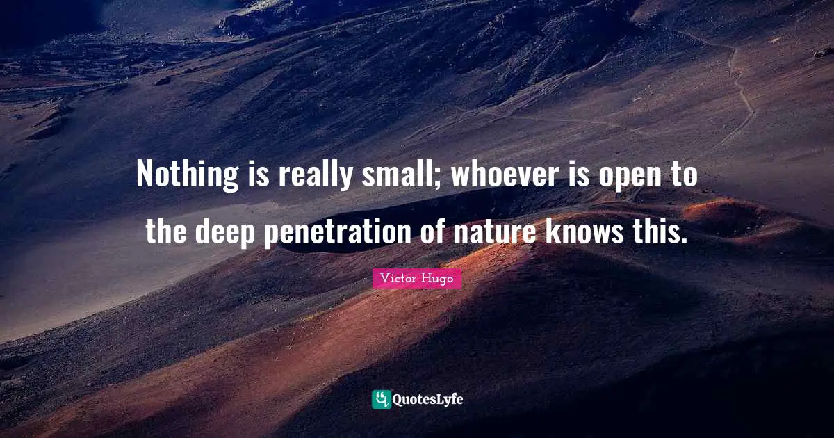 Nothing is really small; whoever is open to the deep penetration of nature knows this.