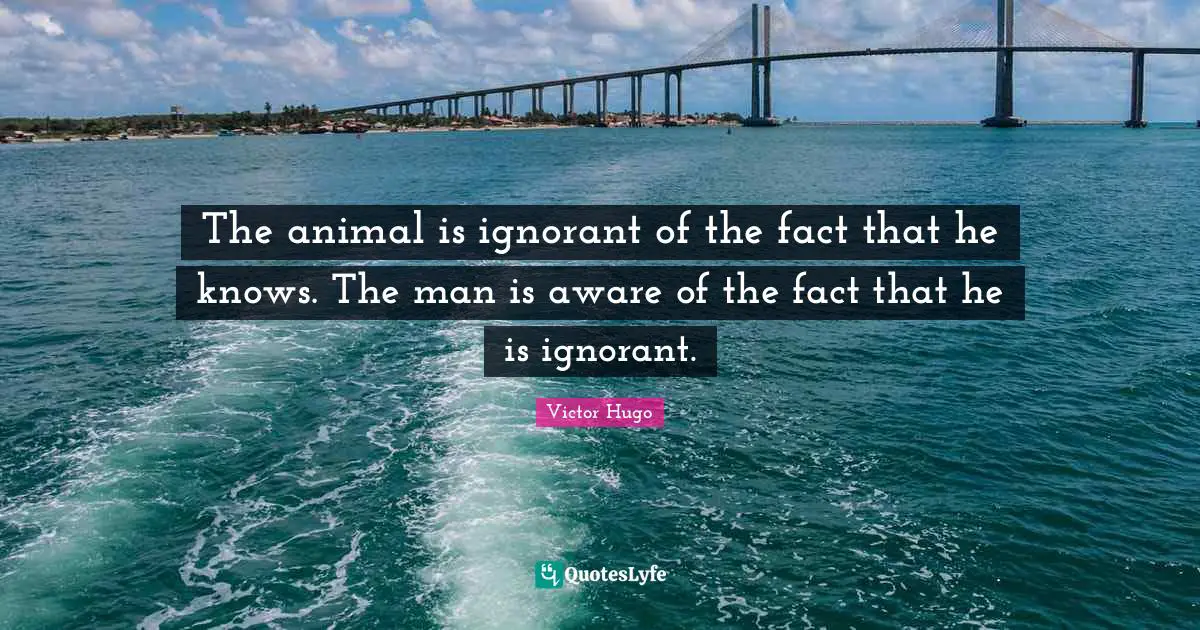 The animal is ignorant of the fact that he knows. The man is aware of the fact that he is ignorant.