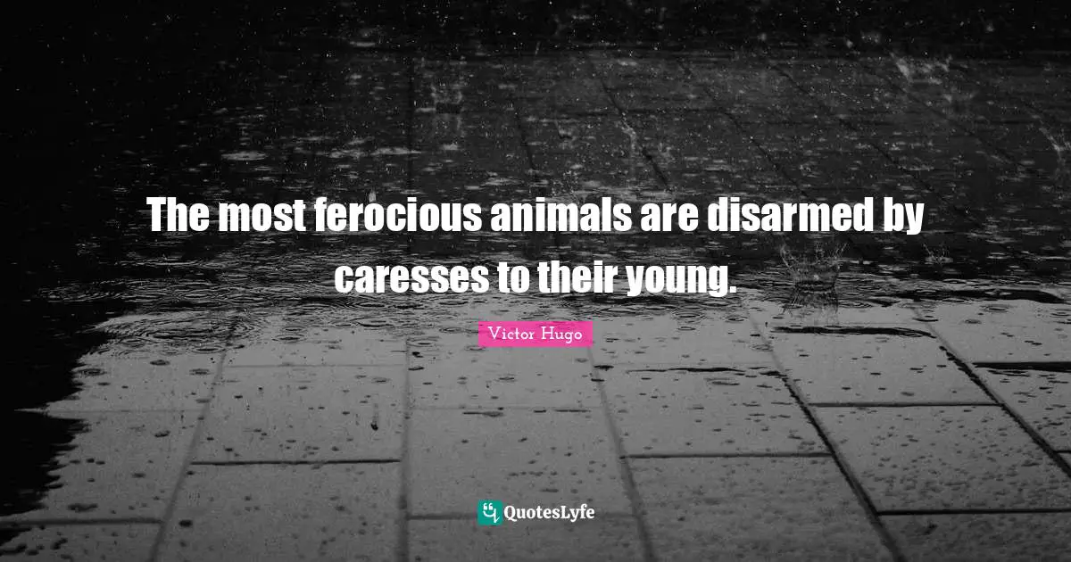 The most ferocious animals are disarmed by caresses to their young.
