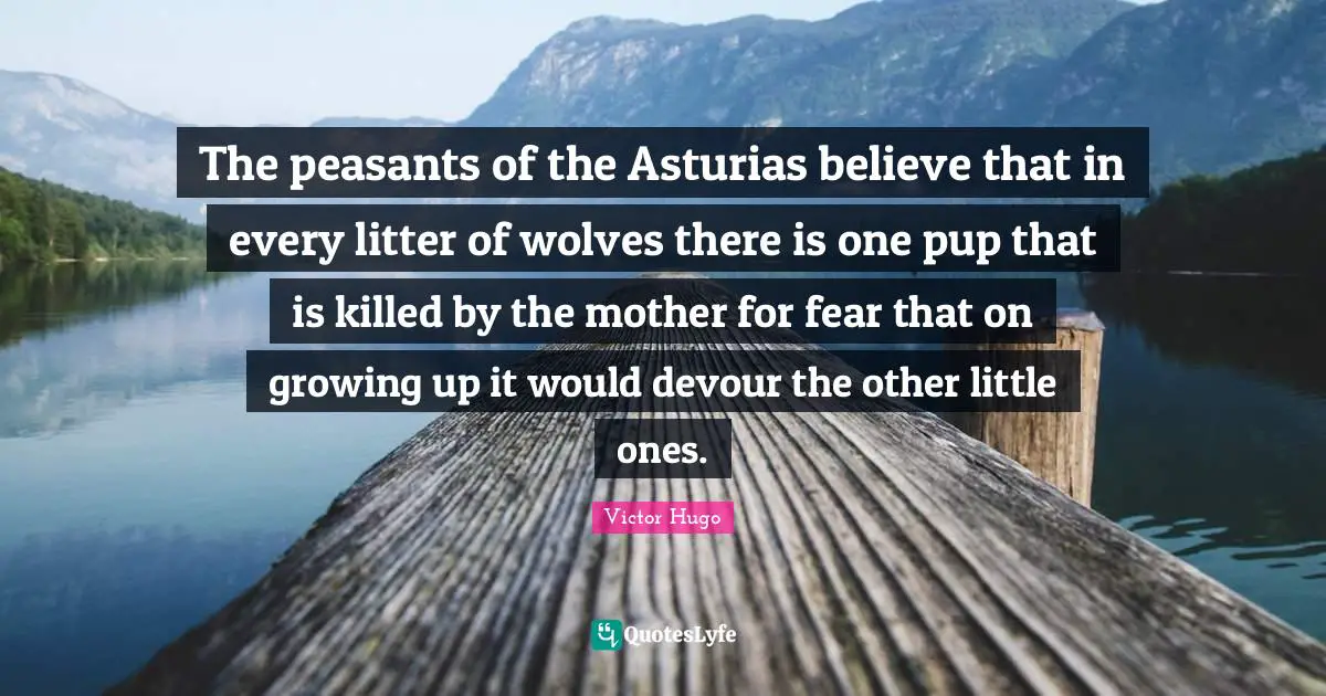 The peasants of the Asturias believe that in every litter of wolves there is one pup that is killed by the mother for fear that on growing up it would devour the other little ones.