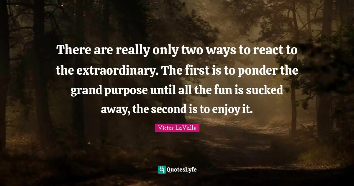 There are really only two ways to react to the extraordinary. The first is to ponder the grand purpose until all the fun is sucked away, the second is to enjoy it.