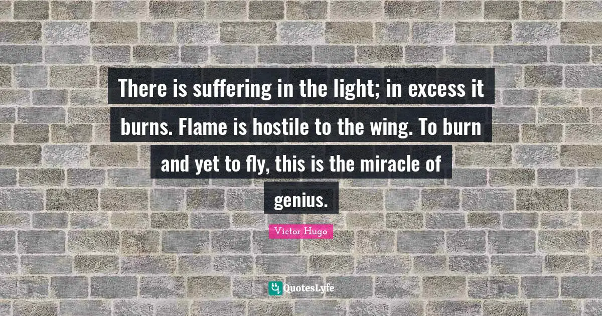 There is suffering in the light; in excess it burns. Flame is hostile to the wing. To burn and yet to fly, this is the miracle of genius.