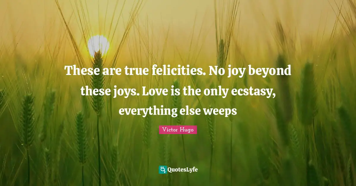 These are true felicities. No joy beyond these joys. Love is the only ecstasy, everything else weeps