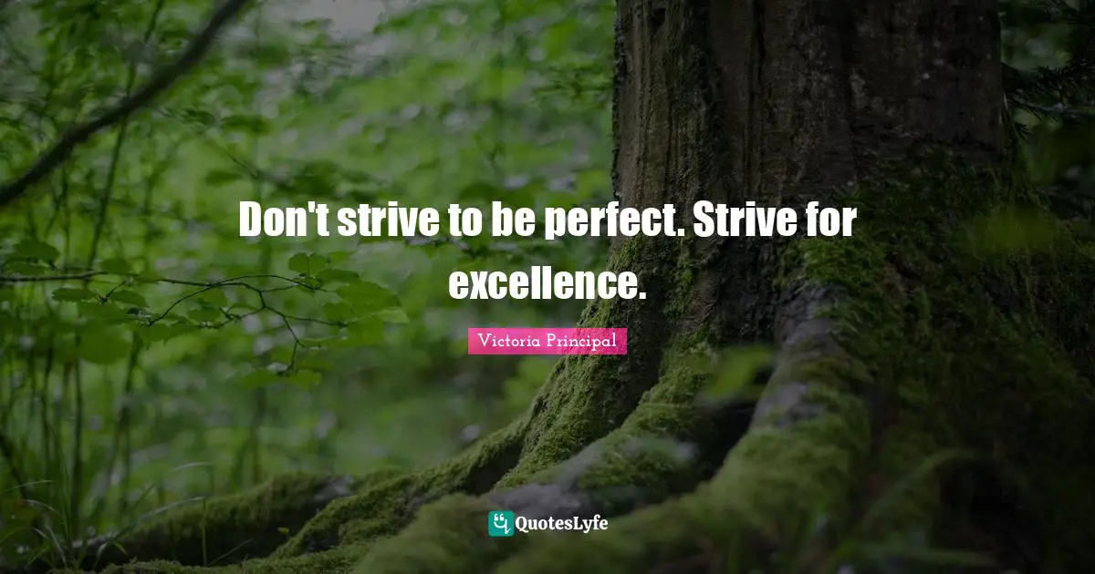 Don't strive to be perfect. Strive for excellence.