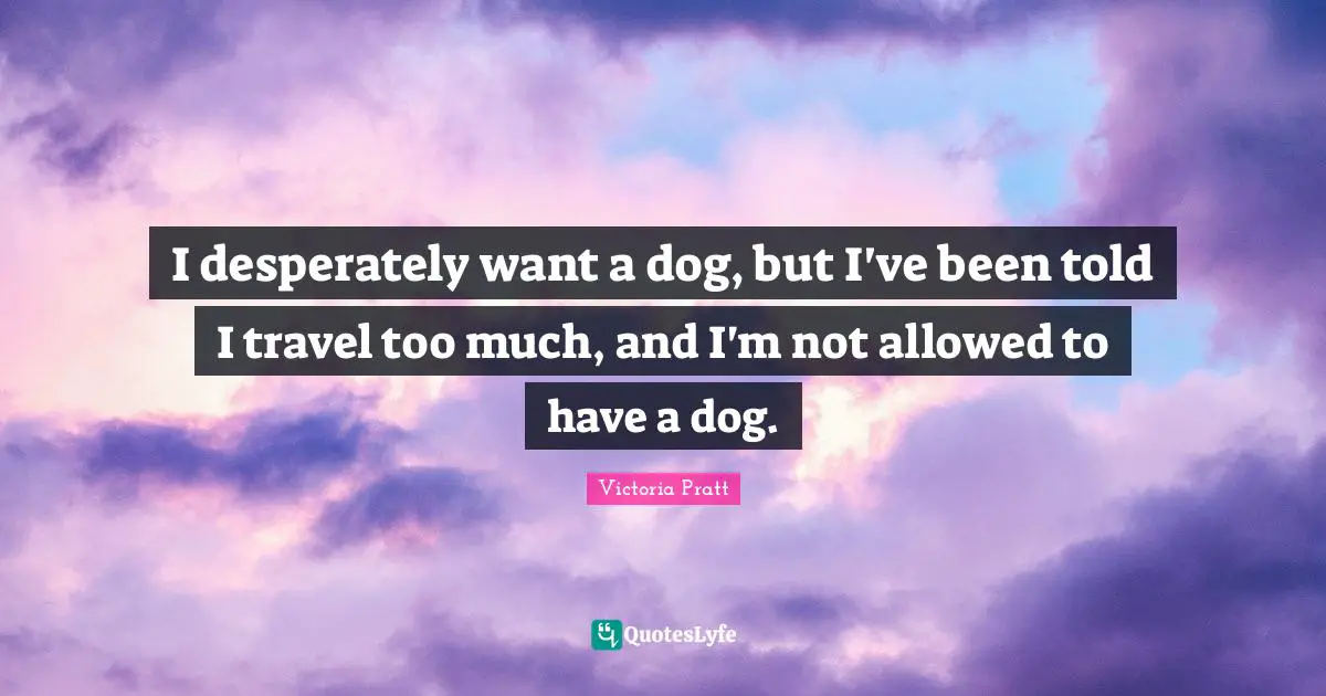 I desperately want a dog, but I've been told I travel too much, and I'm not allowed to have a dog.