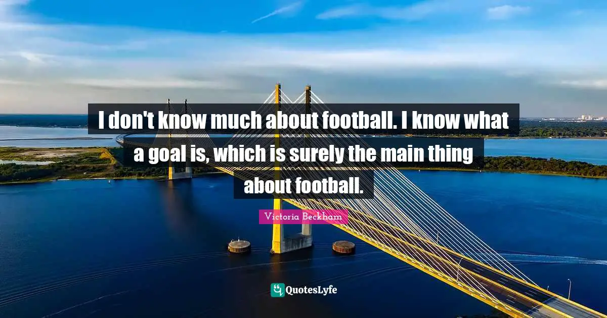 I don't know much about football. I know what a goal is, which is surely the main thing about football.