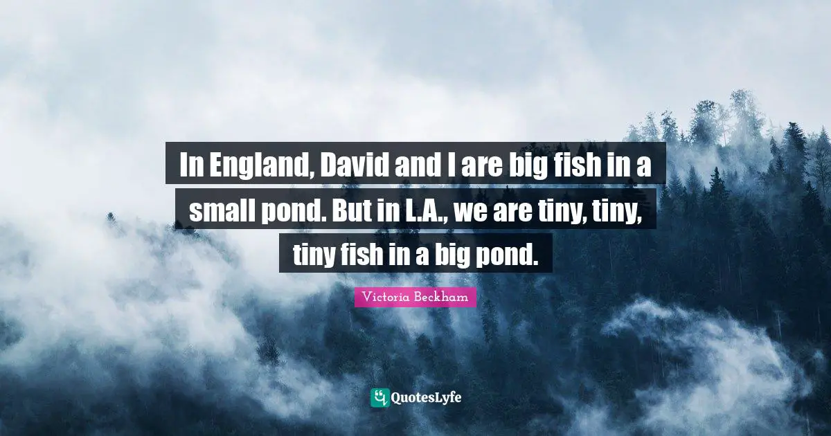 Ponds Quotes: "In England, David and I are big fish in a small pond. But in L.A., we are tiny, tiny, tiny fish in a big pond."