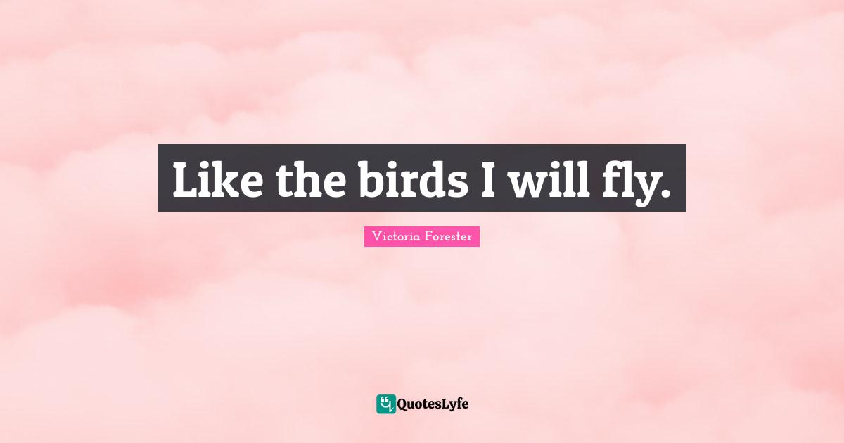 Like the birds I will fly.