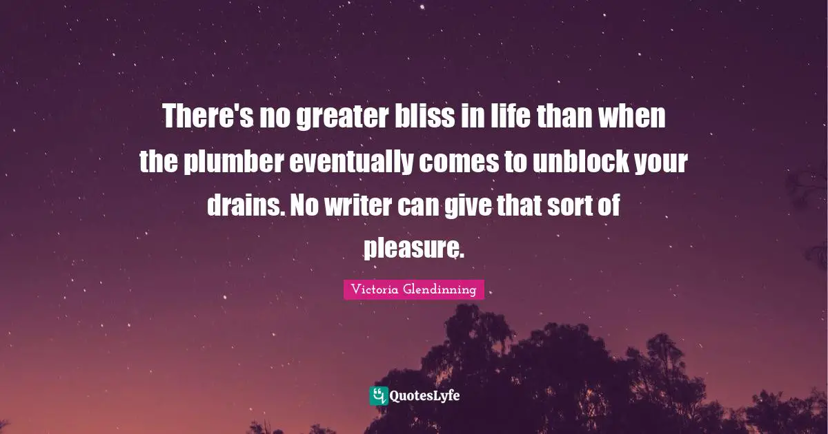 Plumber Quotes: "There's no greater bliss in life than when the plumber eventually comes to unblock your drains. No writer can give that sort of pleasure."