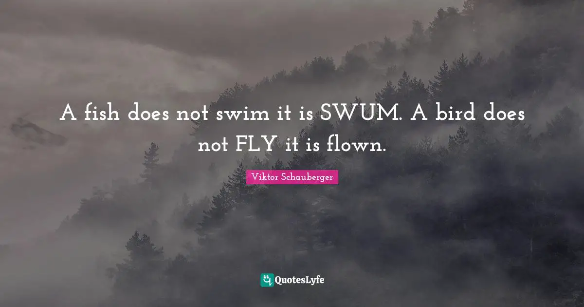 A fish does not swim it is SWUM. A bird does not FLY it is flown.