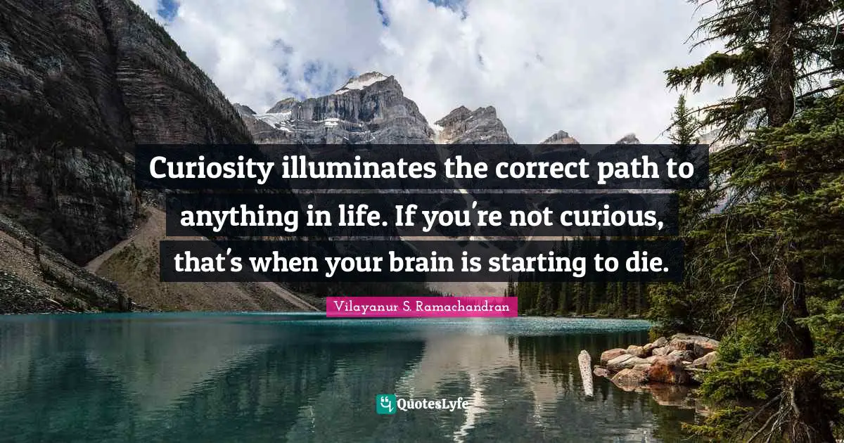 Curiosity illuminates the correct path to anything in life. If you're not curious, that's when your brain is starting to die.