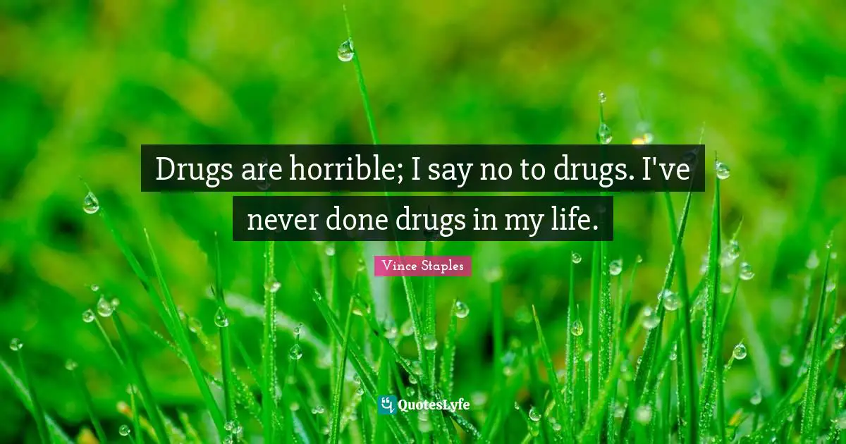 Drugs are horrible; I say no to drugs. I've never done drugs in my life.