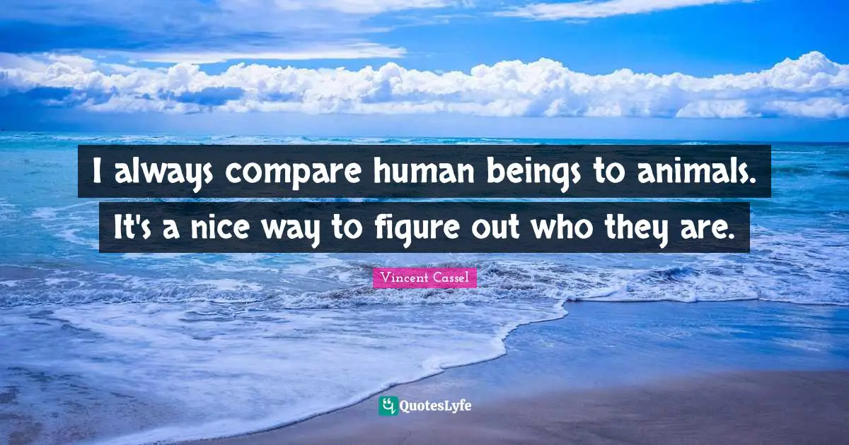 I always compare human beings to animals. It's a nice way to figure out who they are.