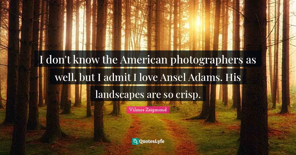 I don't know the American photographers as well, but I admit I love Ansel Adams. His landscapes are so crisp.