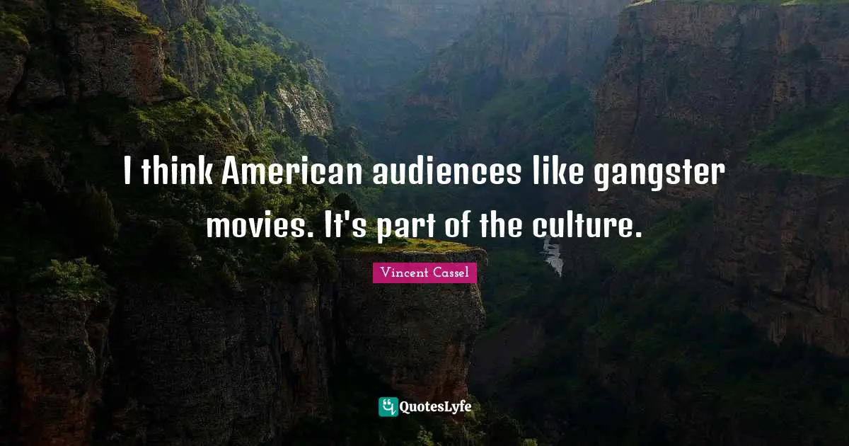 I think American audiences like gangster movies. It's part of the culture.