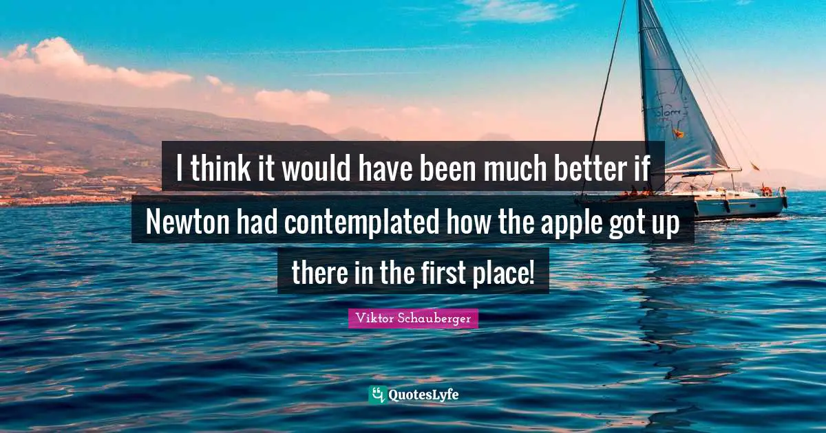 I think it would have been much better if Newton had contemplated how the apple got up there in the first place!