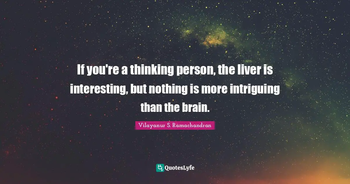 If you're a thinking person, the liver is interesting, but nothing is more intriguing than the brain.