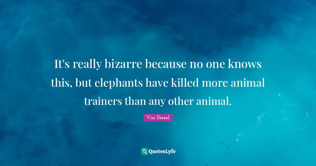 It's really bizarre because no one knows this, but elephants have killed more animal trainers than any other animal.