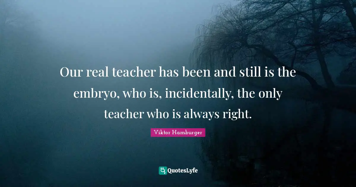 Our real teacher has been and still is the embryo, who is, incidentally, the only teacher who is always right.