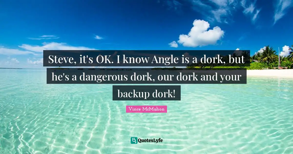 Vince McMahon Quotes: "Steve, it's OK. I know Angle is a dork, but he's a dangerous dork, our dork and your backup dork!"