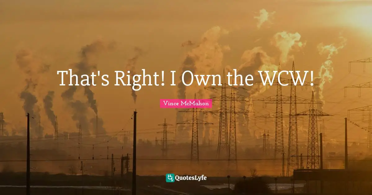 Vince McMahon Quotes: "That's Right! I Own the WCW!"