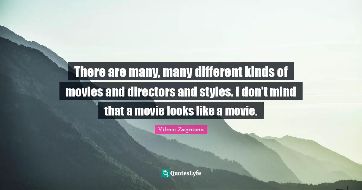 There are many, many different kinds of movies and directors and styles. I don't mind that a movie looks like a movie.