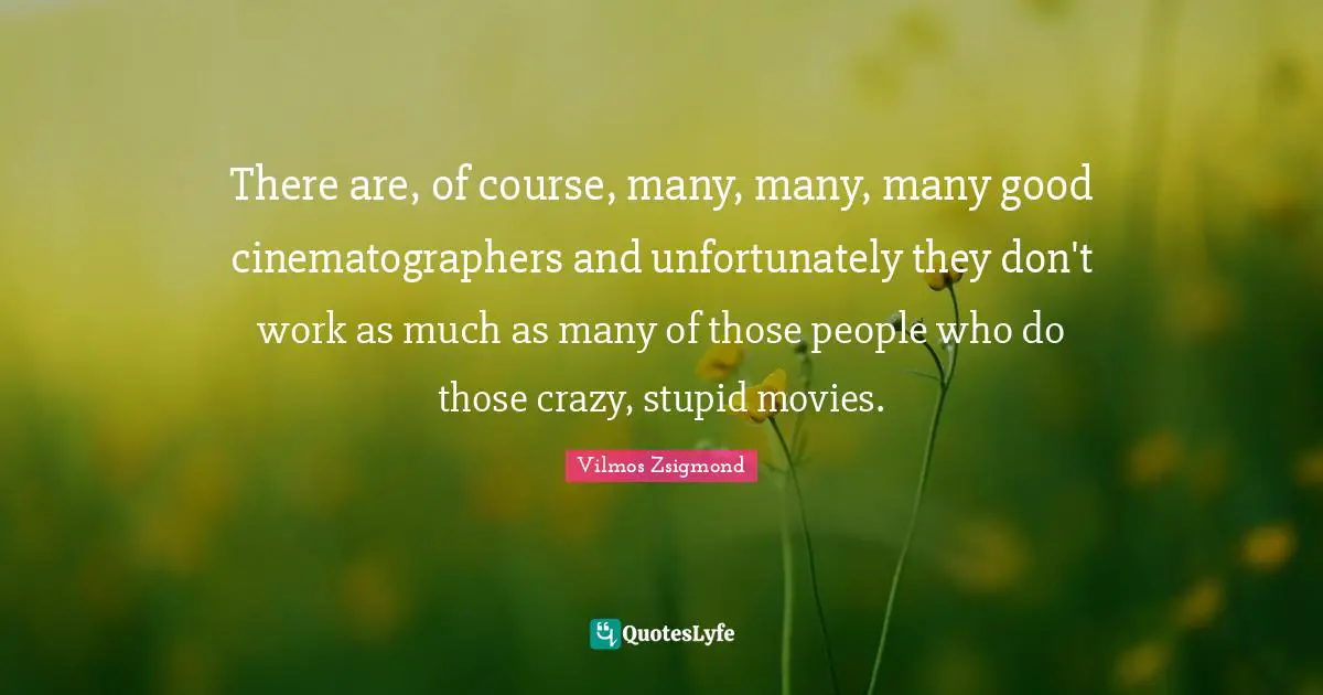There are, of course, many, many, many good cinematographers and unfortunately they don't work as much as many of those people who do those crazy, stupid movies.