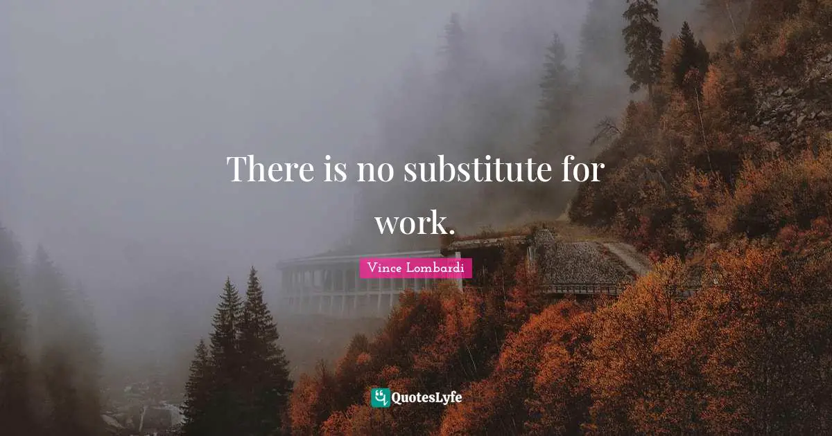 There is no substitute for work.