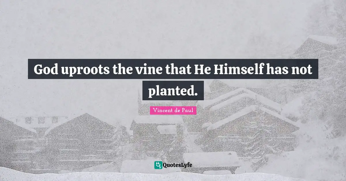 Vines Quotes: "God uproots the vine that He Himself has not planted."