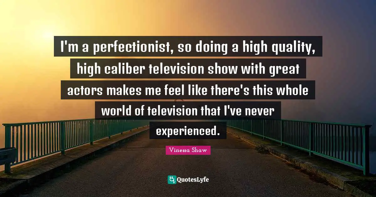 I'm a perfectionist, so doing a high quality, high caliber television show with great actors makes me feel like there's this whole world of television that I've never experienced.