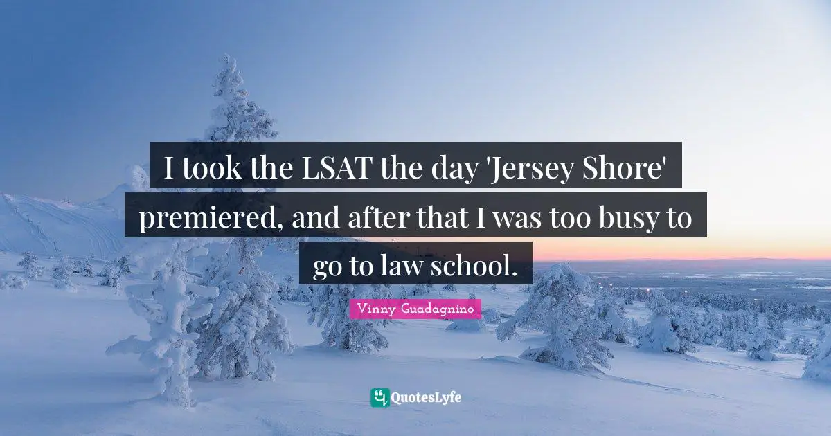 I took the LSAT the day 'Jersey Shore' premiered, and after that I was too busy to go to law school.