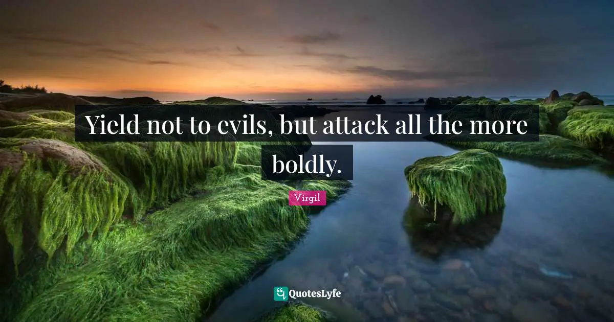 Yield not to evils, but attack all the more boldly.