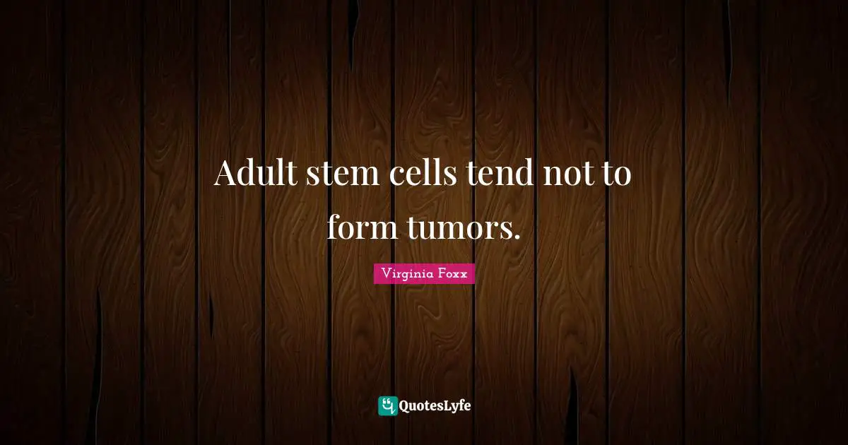 Virginia Foxx Quotes: "Adult stem cells tend not to form tumors."