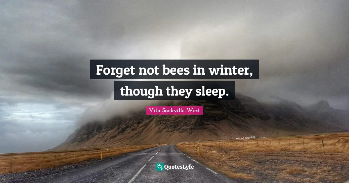 Bees Quotes: "Forget not bees in winter, though they sleep."