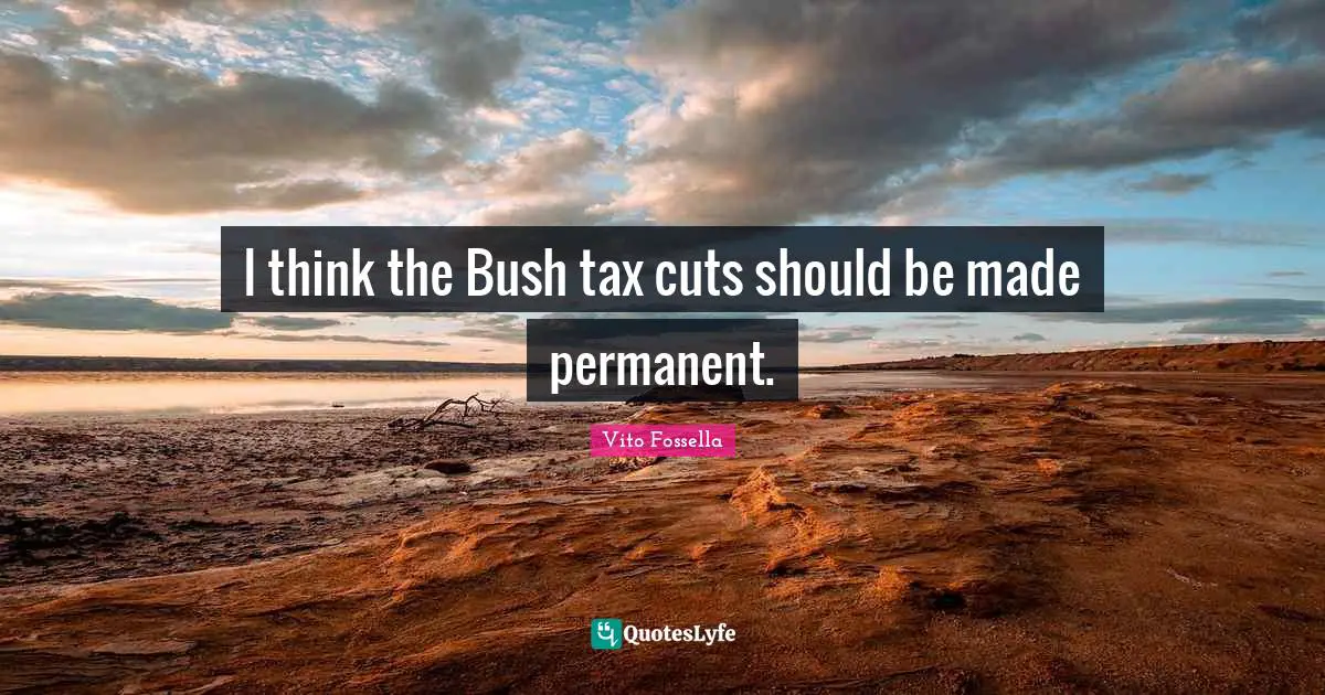 I think the Bush tax cuts should be made permanent.