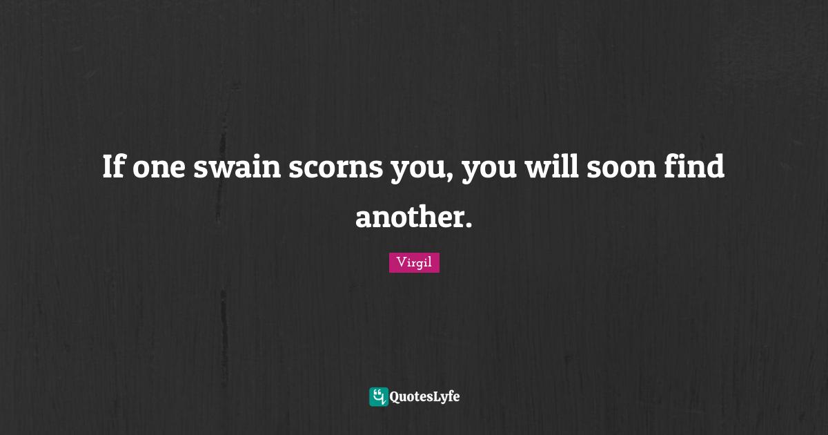 If one swain scorns you, you will soon find another.