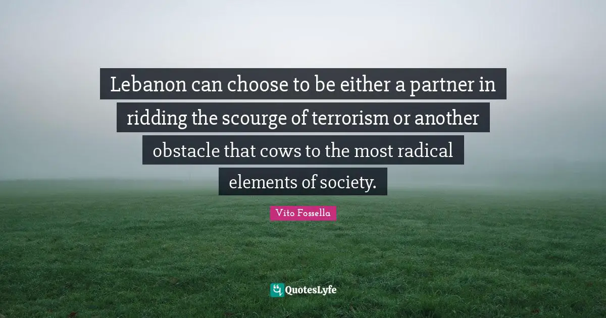Lebanon can choose to be either a partner in ridding the scourge of terrorism or another obstacle that cows to the most radical elements of society.