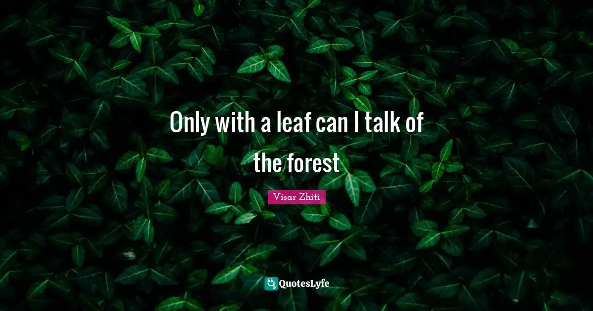 Only with a leaf can I talk of the forest