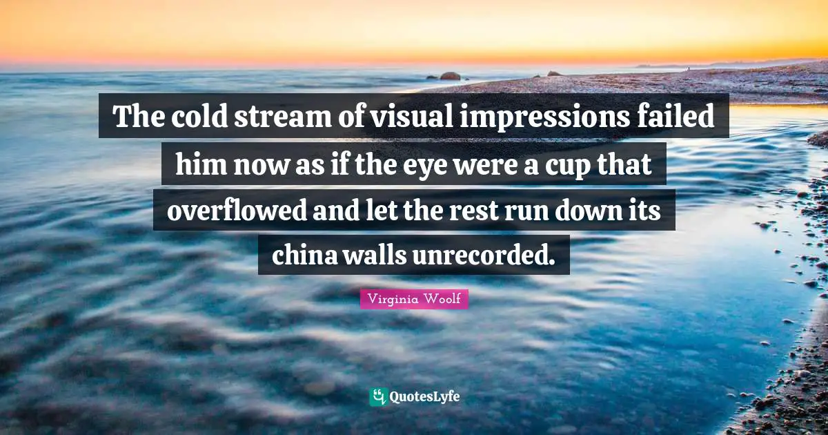 The cold stream of visual impressions failed him now as if the eye were a cup that overflowed and let the rest run down its china walls unrecorded.