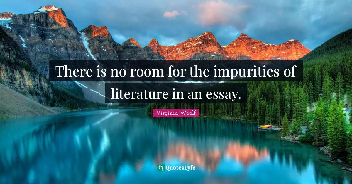 There is no room for the impurities of literature in an essay.