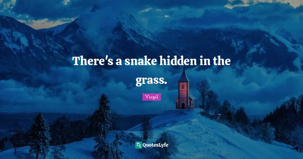 There's a snake hidden in the grass.