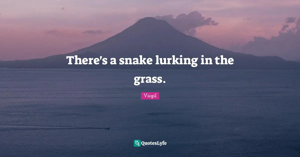 There's a snake lurking in the grass.