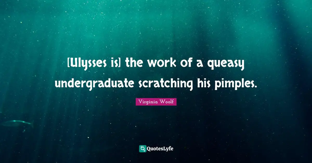 [Ulysses is] the work of a queasy undergraduate scratching his pimples.