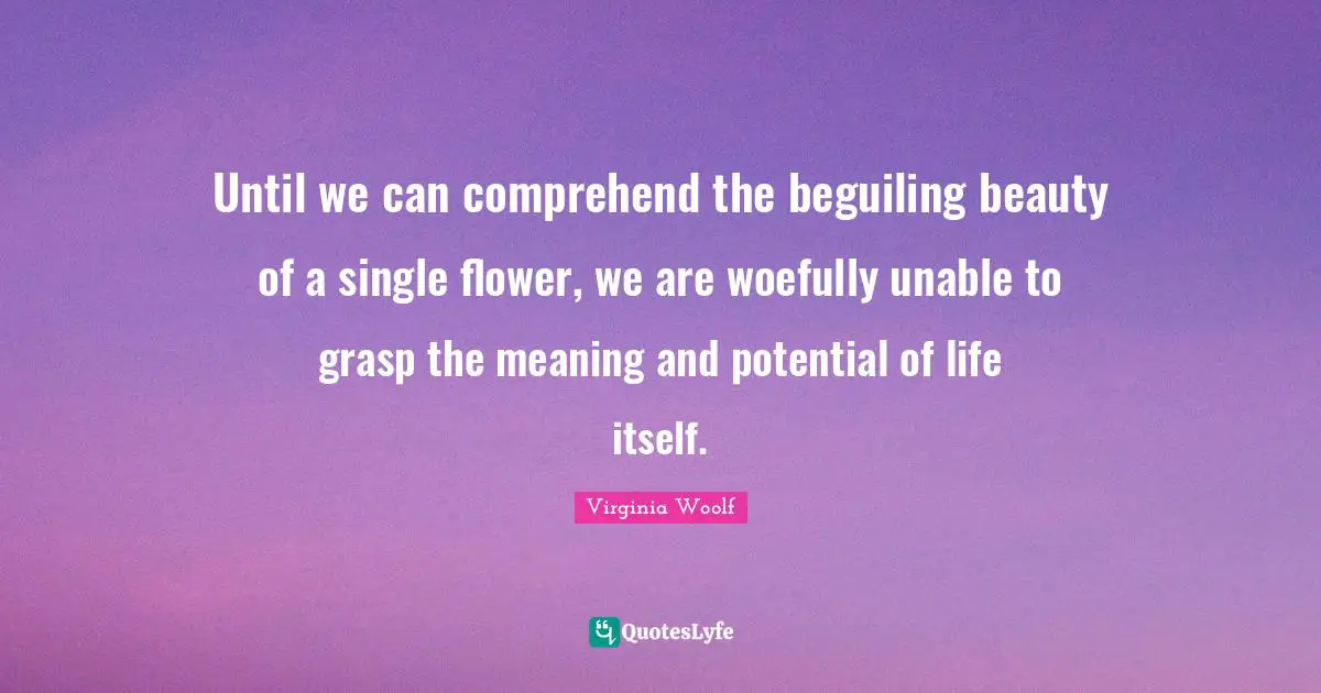 Until we can comprehend the beguiling beauty of a single flower, we are woefully unable to grasp the meaning and potential of life itself.