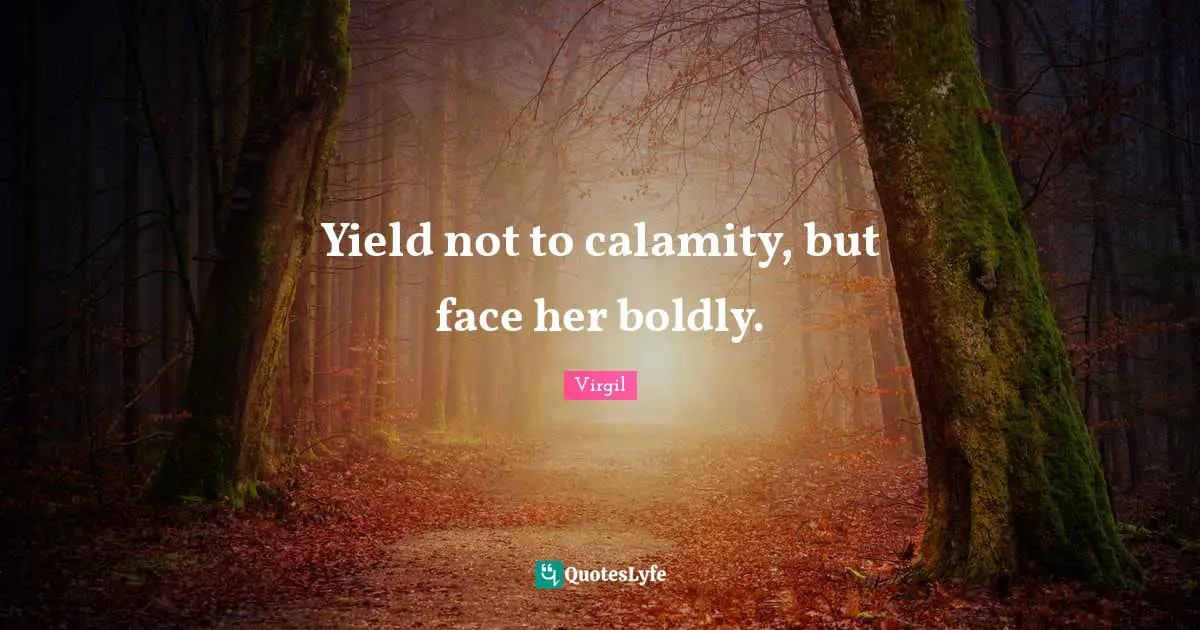 Calamity Quotes: "Yield not to calamity, but face her boldly."