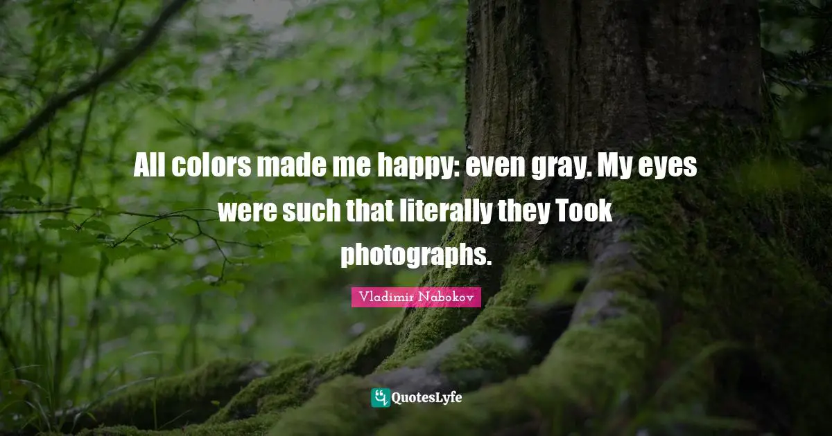 All colors made me happy: even gray. My eyes were such that literally they Took photographs.