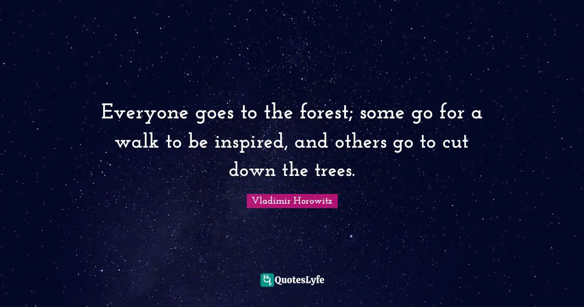 Everyone goes to the forest; some go for a walk to be inspired, and others go to cut down the trees.